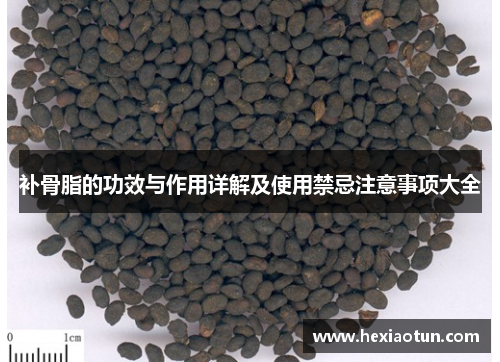 补骨脂的功效与作用详解及使用禁忌注意事项大全