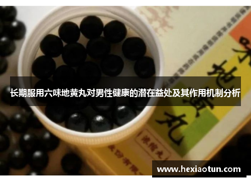 长期服用六味地黄丸对男性健康的潜在益处及其作用机制分析