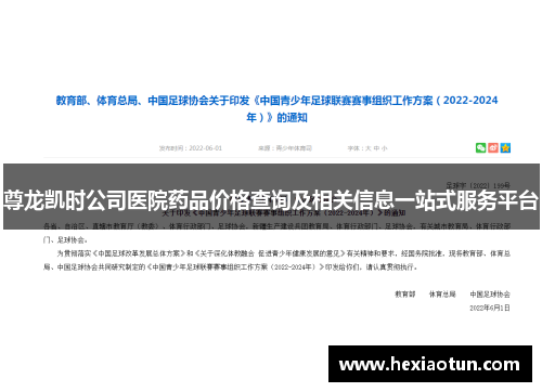 尊龙凯时公司医院药品价格查询及相关信息一站式服务平台