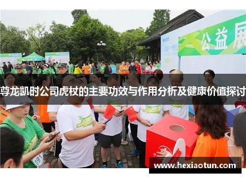 尊龙凯时公司虎杖的主要功效与作用分析及健康价值探讨