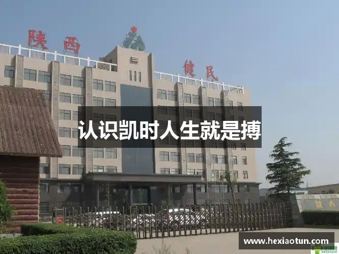 认识凯时人生就是搏